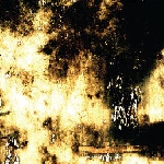 michel doneda - jonas kocher - christoph schiller - ///grape skin michel doneda - jonas kocher - christoph schiller - ///grape skin