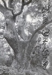 united bible studies - black colcannon (ltd. 100) united bible studies - black colcannon (ltd. 100)