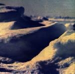 poldr - roaming daylight poldr - roaming daylight