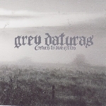 grey daturas - return to disruption grey daturas - return to disruption