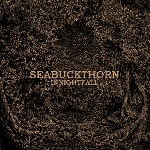 seabuckthorn - in nightfall seabuckthorn - in nightfall