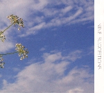 john duncan / mika vainio / ilpo väisäinen - nine suggestions john duncan / mika vainio / ilpo väisäinen - nine suggestions