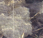cremaster (ferran fages - alfredo costa monteiro) - noranta graus a l'esquerra cremaster (ferran fages - alfredo costa monteiro) - noranta graus a l'esquerra