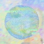 zonotope™ - human unity (ltd. 70) zonotope™ - human unity (ltd. 70)