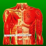 premature ejaculation (rozz williams) - dead whorse riddles premature ejaculation (rozz williams) - dead whorse riddles