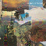 imaginary softwoods (john elliott - emeralds) - s/t imaginary softwoods (john elliott - emeralds) - s/t