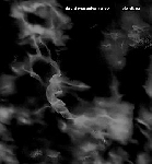 david maranha - z'ev - obsidiana david maranha - z'ev - obsidiana