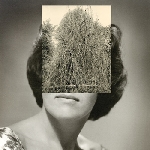 crash normal - your body got a land crash normal - your body got a land