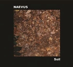 naevus - soil naevus - soil