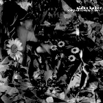 aidan baker (nadja) - songs of flowers & skin aidan baker (nadja) - songs of flowers & skin