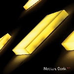 noctule sorix - 4.0 noctule sorix - 4.0