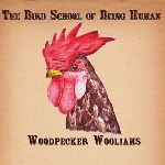 woodpecker wooliams - the bird school of being human woodpecker wooliams - the bird school of being human