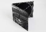 v/a - the curfew recordings v/a - the curfew recordings