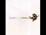 big (drum&bass) (galiay - perraud) - apokalupsis big (drum&bass) (galiay - perraud) - apokalupsis