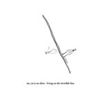 my cat is an alien - living on the invisible line my cat is an alien - living on the invisible line