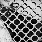 you'll never get to heaven - s/t you'll never get to heaven - s/t