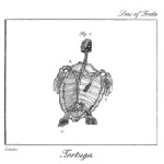 sons of frida - tortuga sons of frida - tortuga