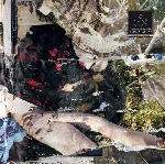 contagious orgasm + tzII - blind shadows contagious orgasm + tzII - blind shadows