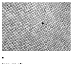 cyril bondi - d'incise - jacques demierre - jonas kocher - öcca cyril bondi - d'incise - jacques demierre - jonas kocher - öcca