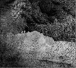 damian valles - exposure damian valles - exposure