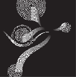 thomas tilly - script geometry thomas tilly - script geometry