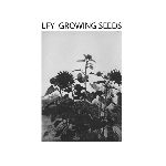 lfy - growing sedds lfy - growing sedds