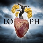 lo†ph - aurora lo†ph - aurora