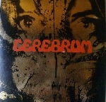 cerebrum - s/t cerebrum - s/t
