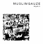 muslimgauze - flajelata (ltd. 200) muslimgauze - flajelata (ltd. 200)
