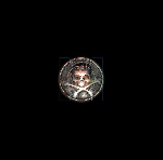 new crium delirium erratum coyote circus - s/t new crium delirium erratum coyote circus - s/t