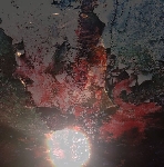 bootblacks - veins bootblacks - veins