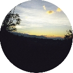 tom rechion - oaxaca dawn bamboo tom rechion - oaxaca dawn bamboo