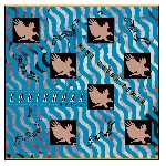 equiknoxx - bird sound power equiknoxx - bird sound power