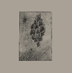 aine o'dwyer - locusts aine o'dwyer - locusts