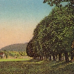 andrew chalk - time of hayfield andrew chalk - time of hayfield