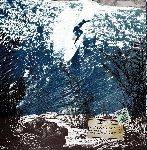 mike cooper - reluctant swimmer / virtual surfer mike cooper - reluctant swimmer / virtual surfer