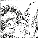 razen - the xvoto reels razen - the xvoto reels