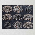 kepler - s/t kepler - s/t