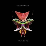 tony buck & massimo pupillo - time being tony buck & massimo pupillo - time being