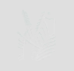 zoviet france - Popular Soviet Songs And Youth Music zoviet france - Popular Soviet Songs And Youth Music