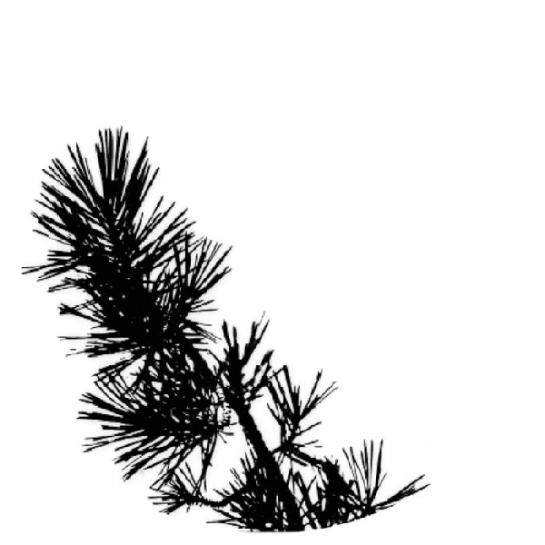Phill Niblock - Browner Phill Niblock - Browner