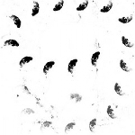 monolithe noir - moira monolithe noir - moira