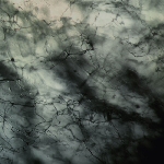keluar - ennoea / vitreum ep's keluar - ennoea / vitreum ep's