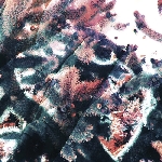 ricardo tobar - garden/hundreds remix ricardo tobar - garden/hundreds remix