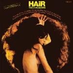 the 31 flavors - hair the 31 flavors - hair