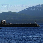hein schoer - two weeks in alert bay (a soundscape composition) hein schoer - two weeks in alert bay (a soundscape composition)