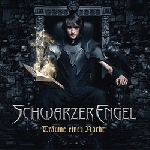 schwarzer engel - träume einer nacht schwarzer engel - träume einer nacht