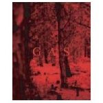 wolfgang voigt - gas wolfgang voigt - gas