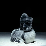 belief defect - decadent yet depraved belief defect - decadent yet depraved