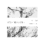 satoshi ashikawa - still way (wave notation 2) satoshi ashikawa - still way (wave notation 2)